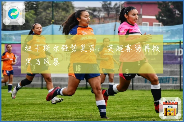 纽卡斯尔强势复苏，英超赛场再掀黑马风暴