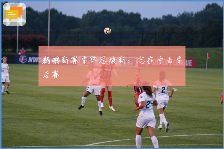 鹈鹕新赛季阵容焕新，志在冲击季后赛