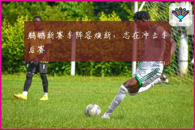 鹈鹕新赛季阵容焕新，志在冲击季后赛